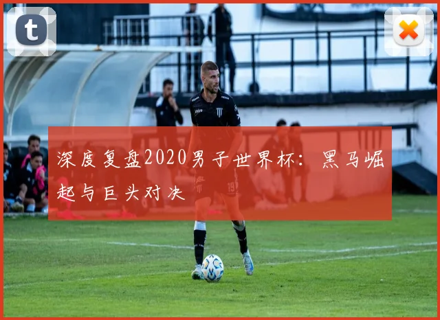深度复盘2020男子世界杯:黑马崛起与巨头对决