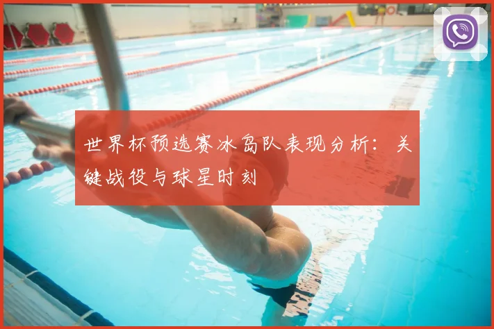 世界杯预选赛冰岛队表现分析:关键战役与球星时刻