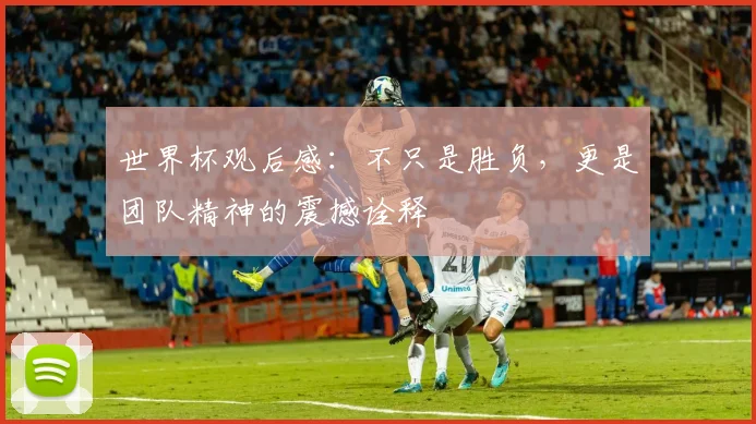 世界杯观后感：不只是胜负，更是团队精神的震撼诠释