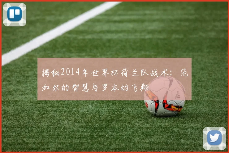 揭秘2014年世界杯荷兰队战术：范加尔的智慧与罗本的飞翔