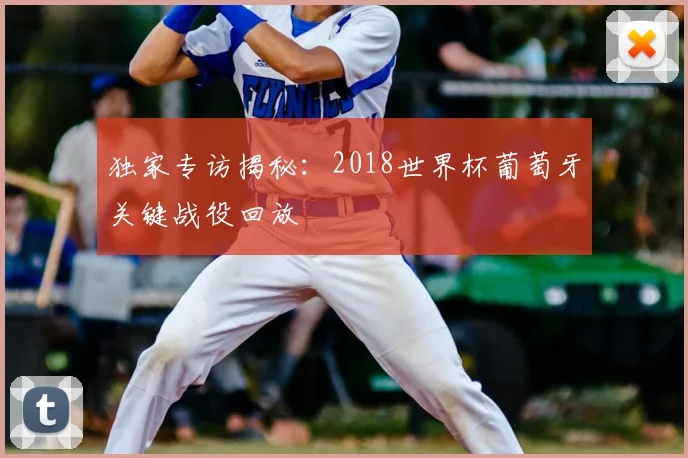 独家专访揭秘:2018世界杯葡萄牙关键战役回放