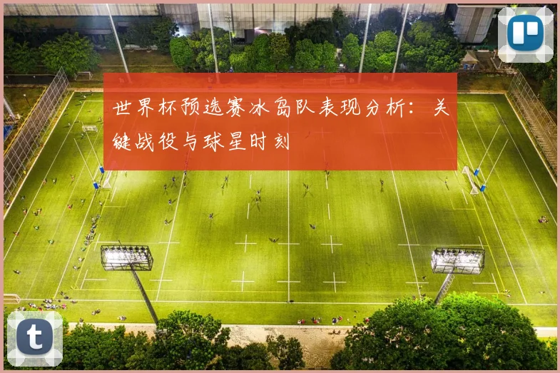 世界杯预选赛冰岛队表现分析:关键战役与球星时刻