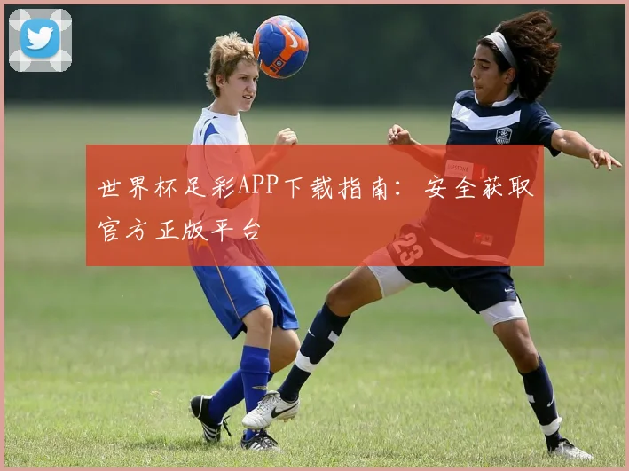 世界杯足彩APP下载指南:安全获取官方正版平台