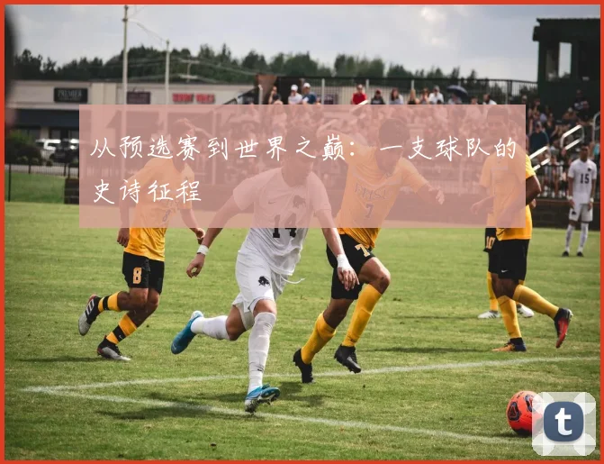 从预选赛到世界之巅：一支球队的史诗征程