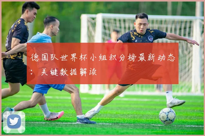 德国队世界杯小组积分榜最新动态：关键数据解读