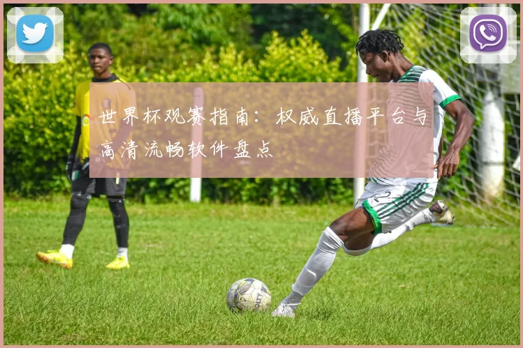 世界杯观赛指南：权威直播平台与高清流畅软件盘点