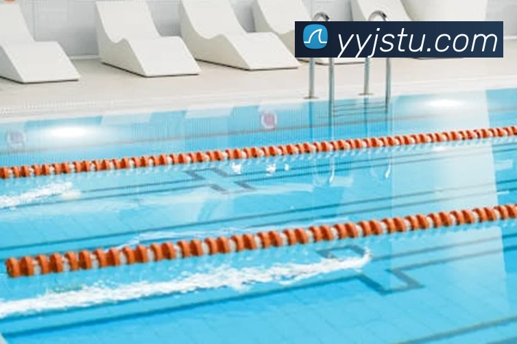 九游网官网入口平台生态图